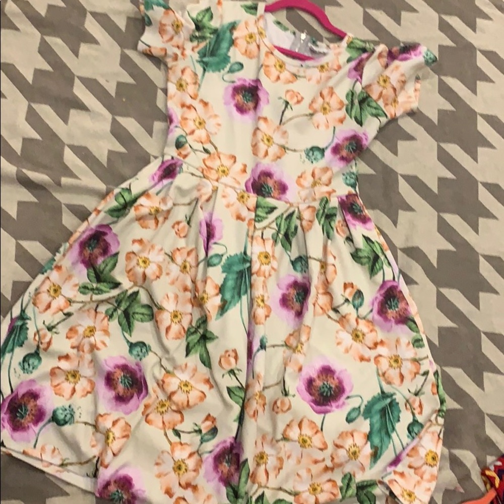 Lularoe Amelia